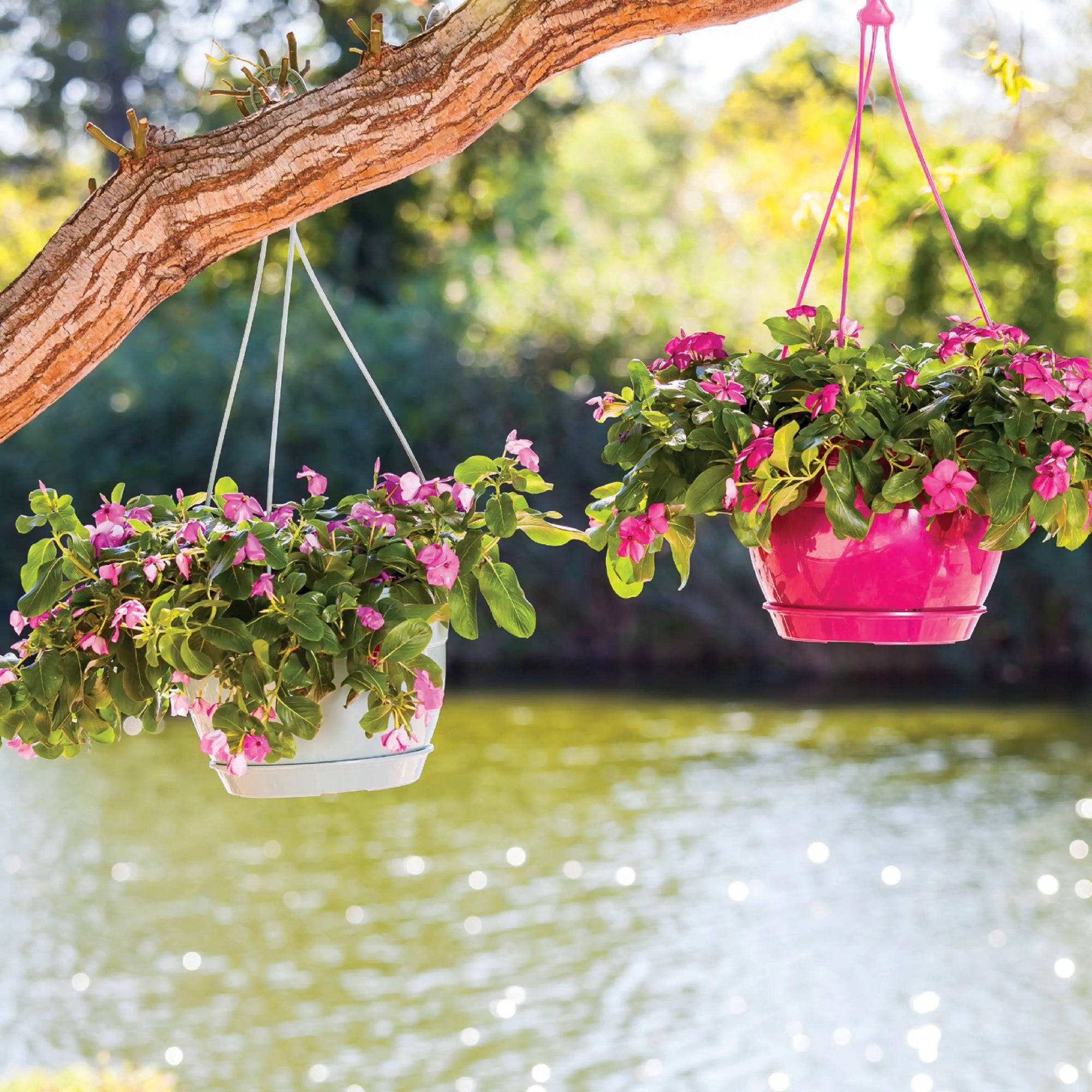 SAPPHIRE HANGING POT