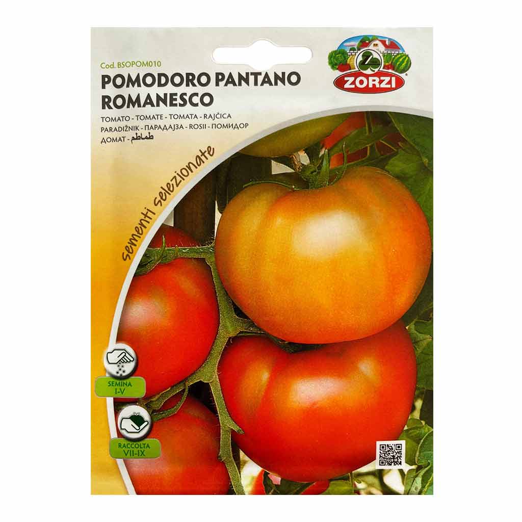POMODOR PANTANO ROMANESCO BTS - TOMATO PANTANO