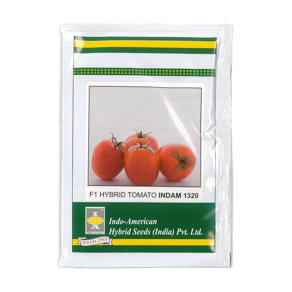 TOMATO- HYBRID SEED