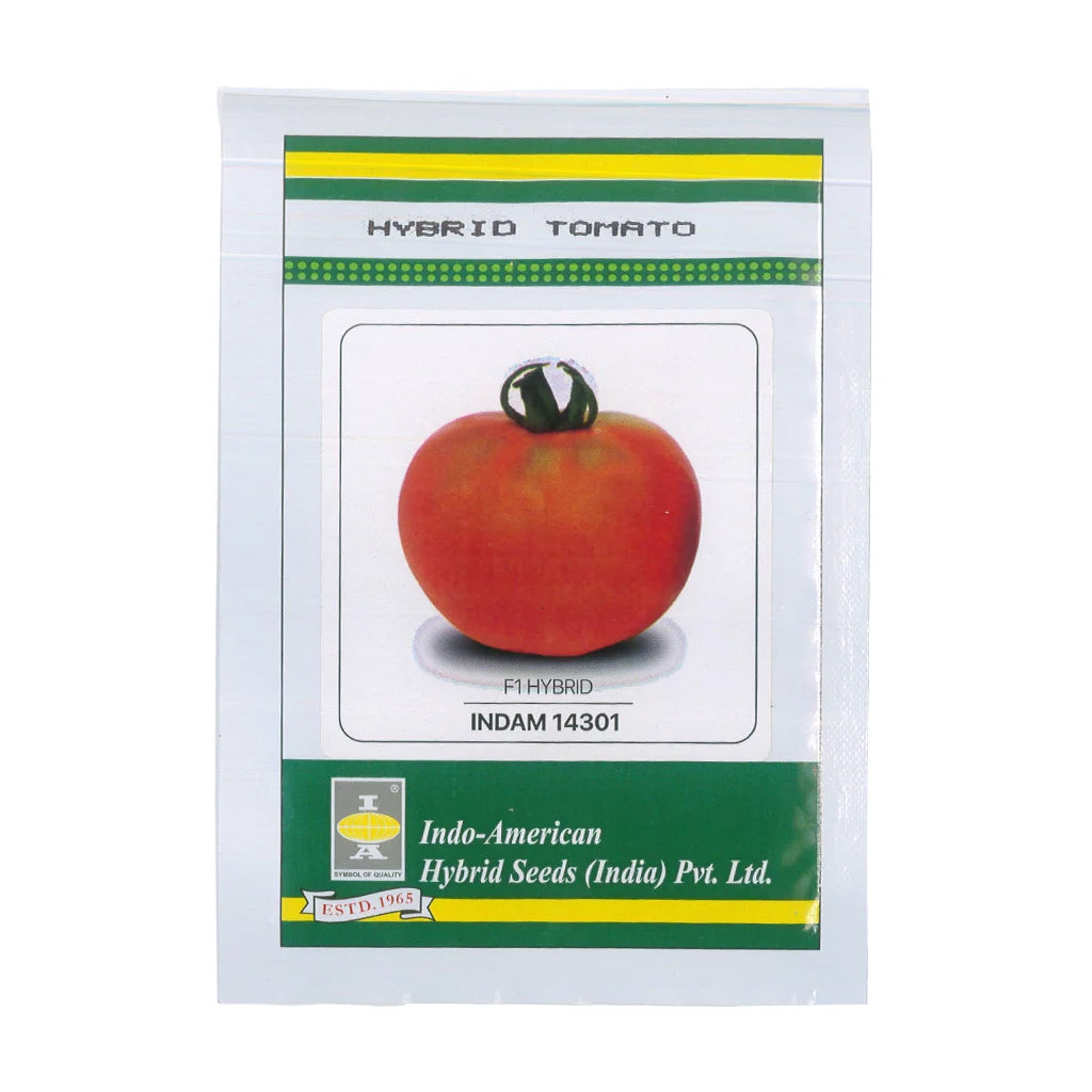 TOMATO- HYBRID SEED