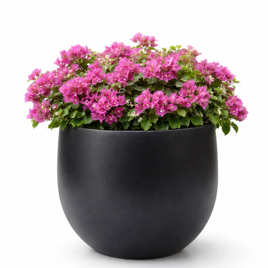 Fiber clay planter balloon model