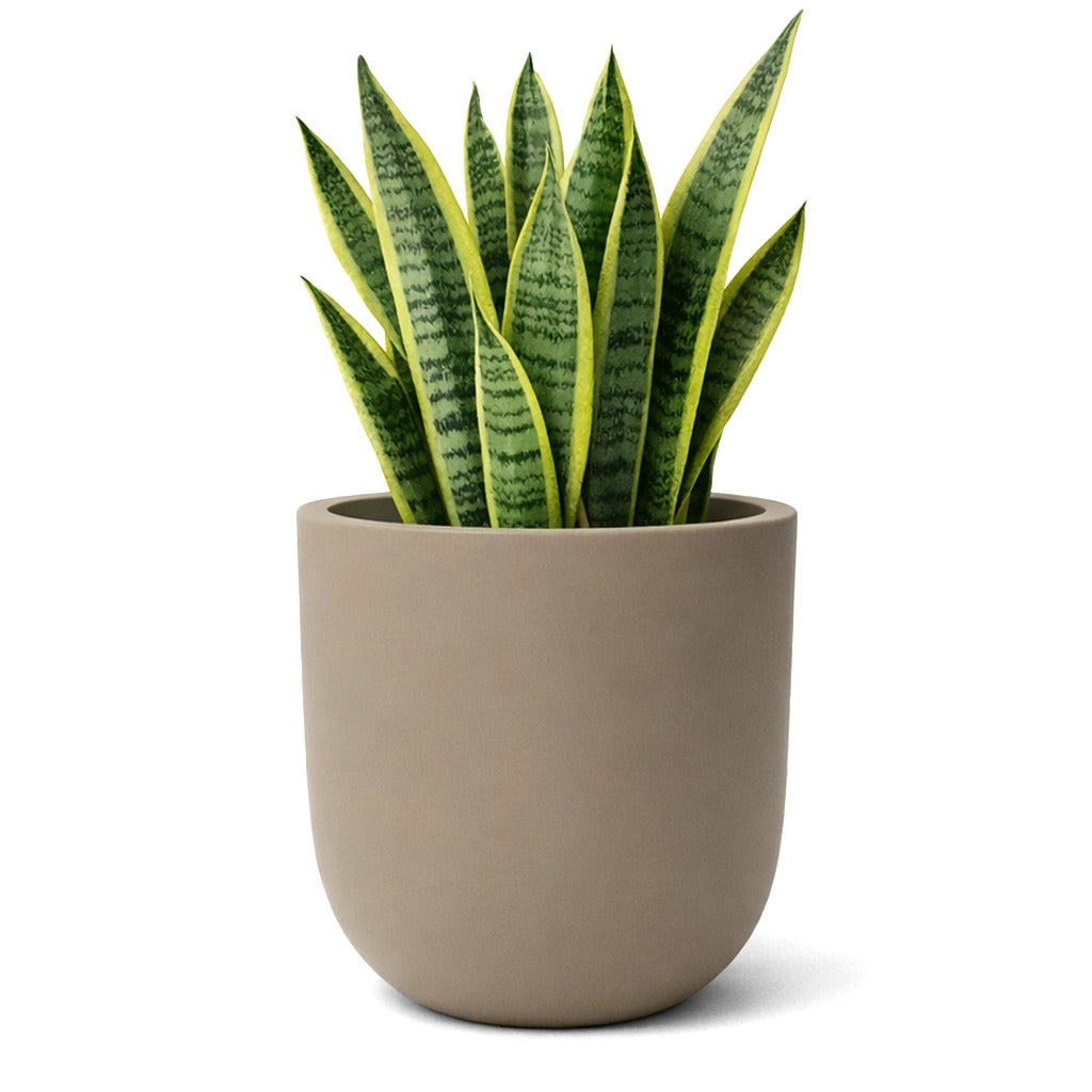Fiber clay cup pot
