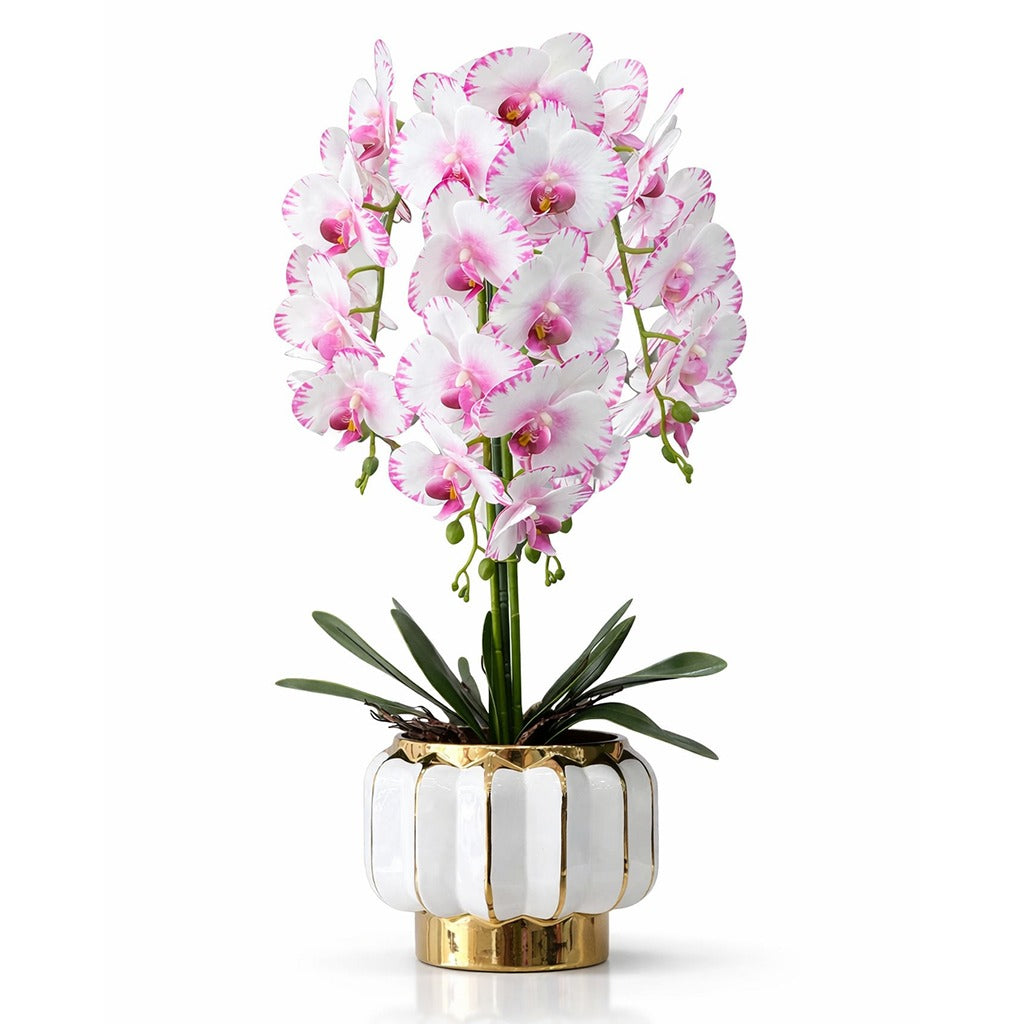 Artificial orchid plant in ceramic pot- Assorted colour
