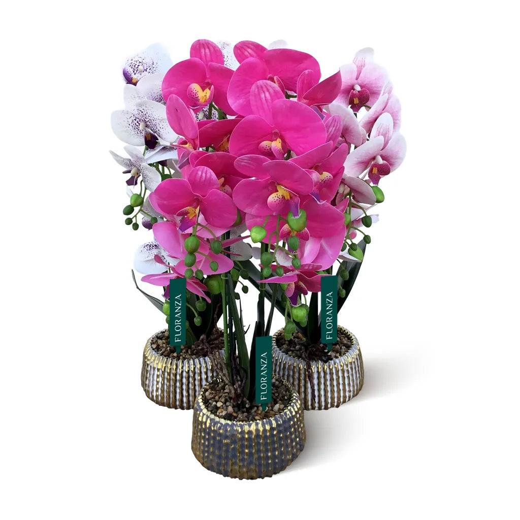 Artificial orchid in ceramic pot- Assorted colour