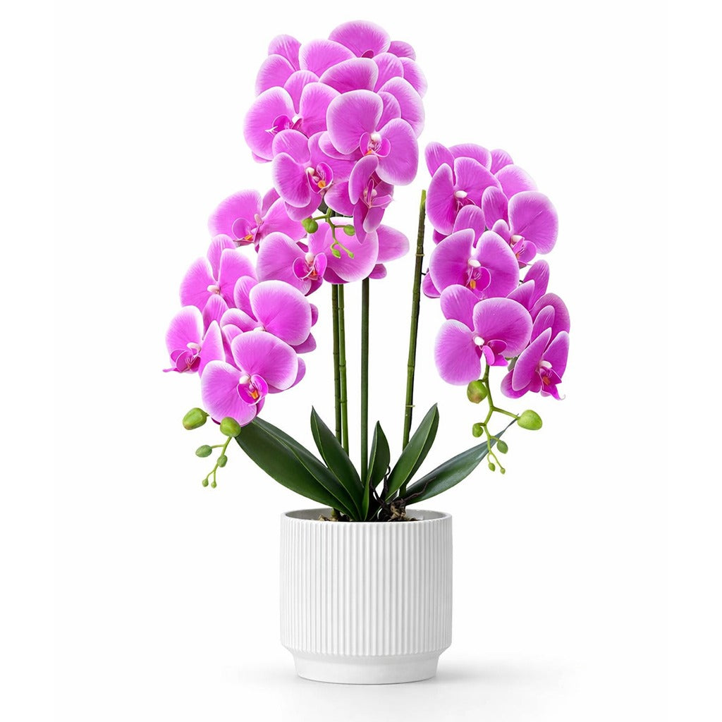 Artificial orchid plant in ceramic pot- Assorted colour