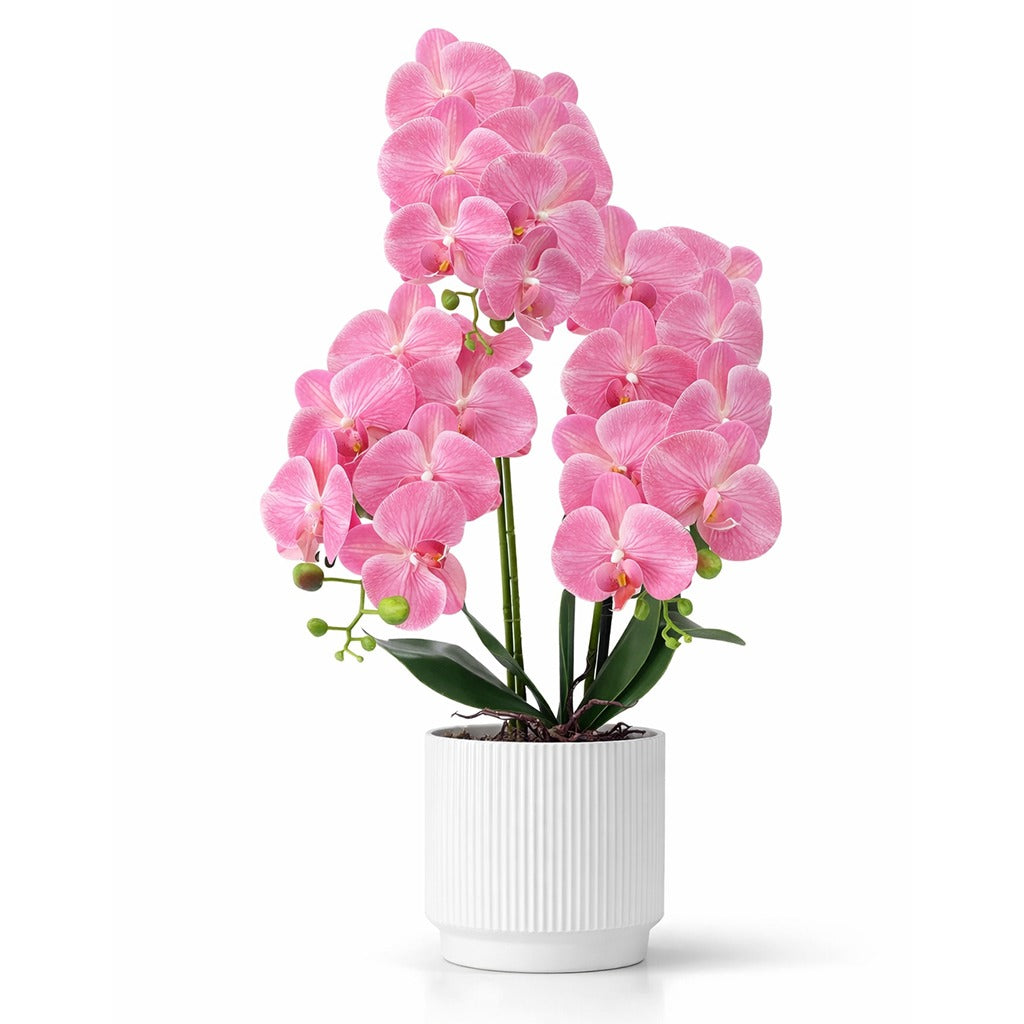 Artificial orchid plant in ceramic pot- Assorted colour