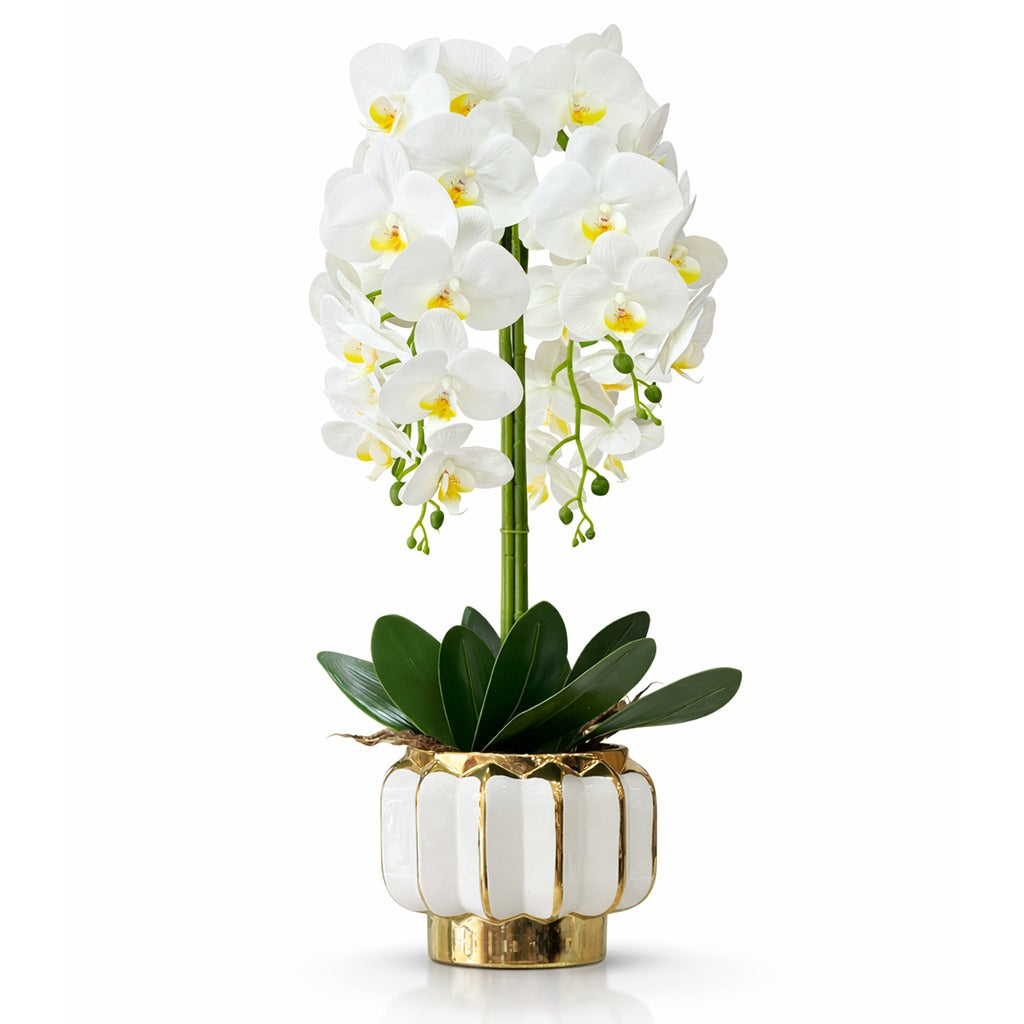 Artificial orchid plant in ceramic pot- Assorted colour