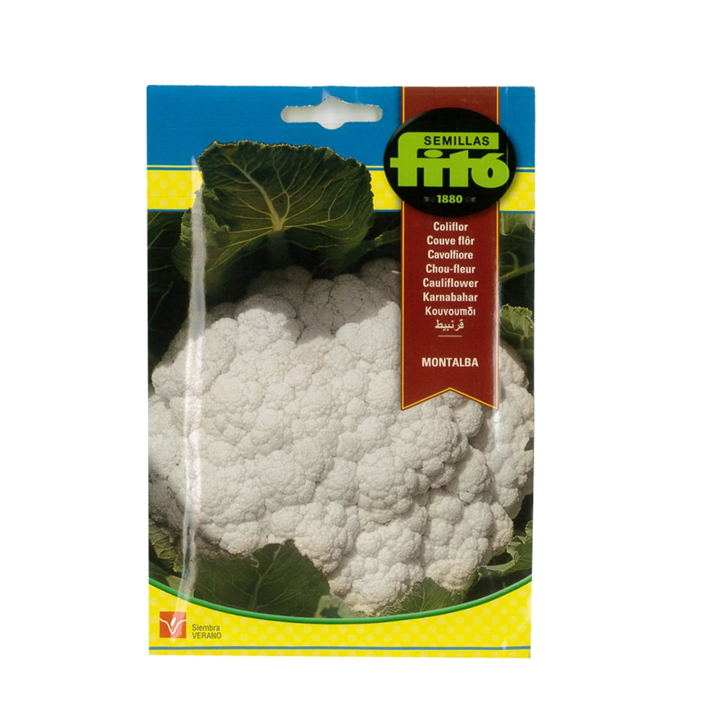 CAULIFLOWER SEED- FITTO