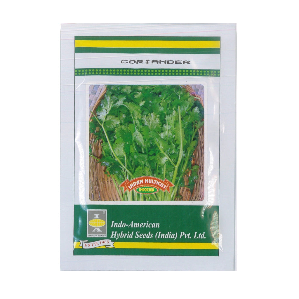 CORIANDER- HYBRID SEED