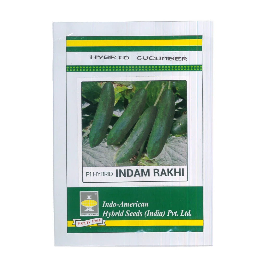 CUCUMBER- HYBRID SEED
