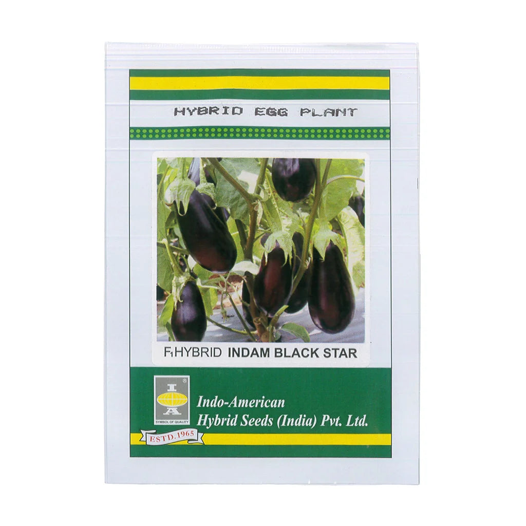 BRINJAL- HYBRID SEED