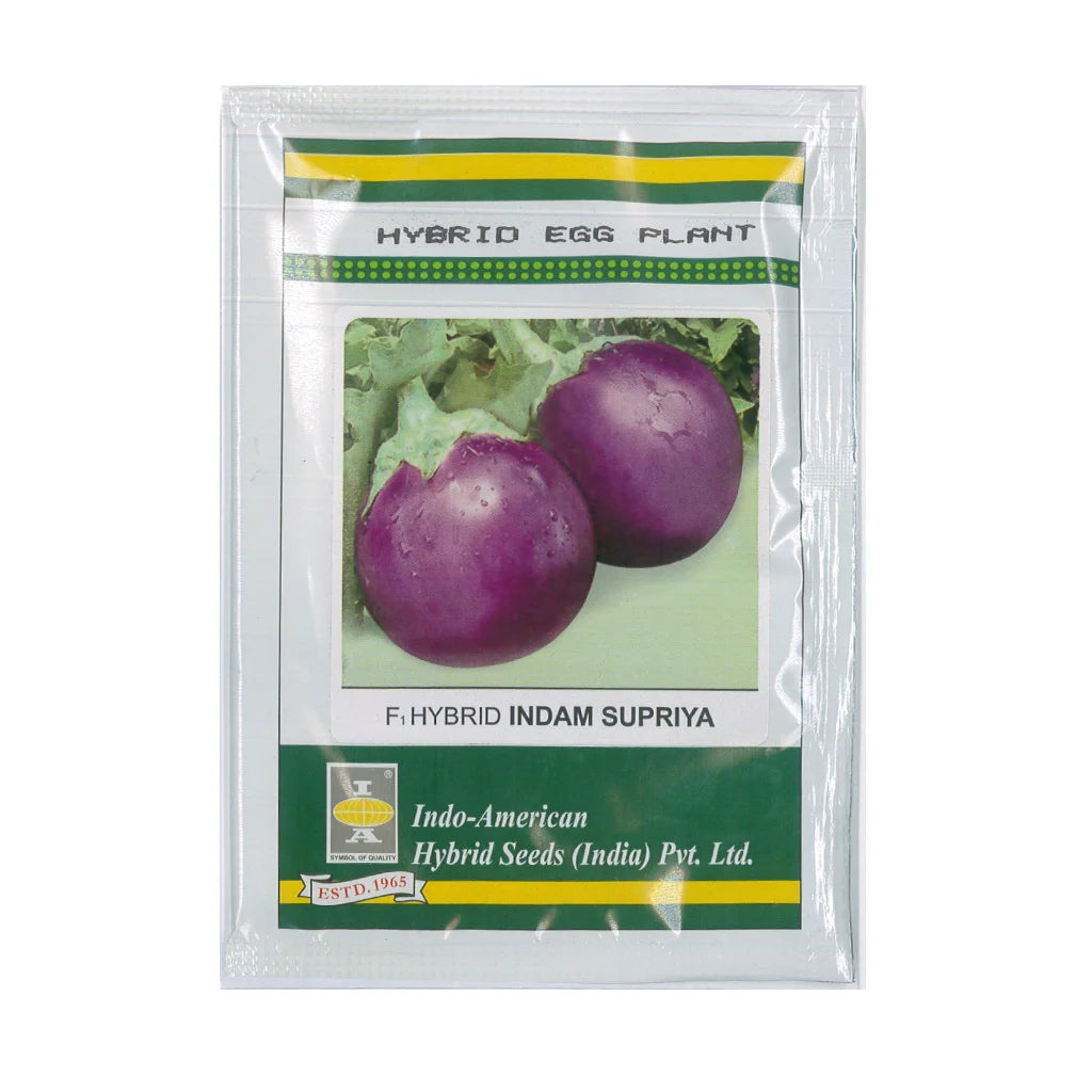 EGG PLANT- HYBRID SEED