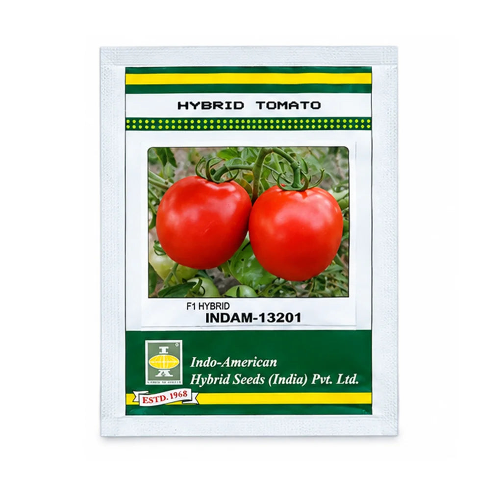 TOMATO- HYBRID SEED