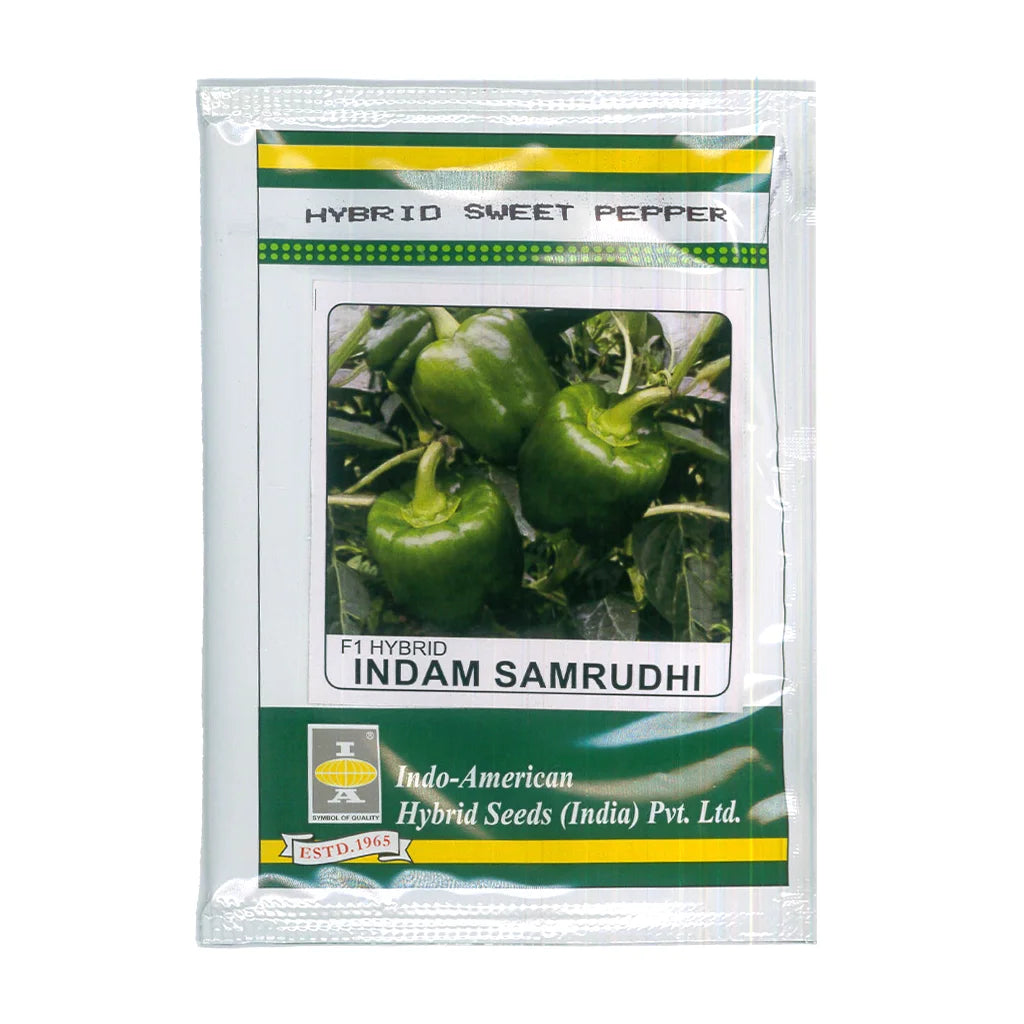 SWEET PEPPER- HYBRID
