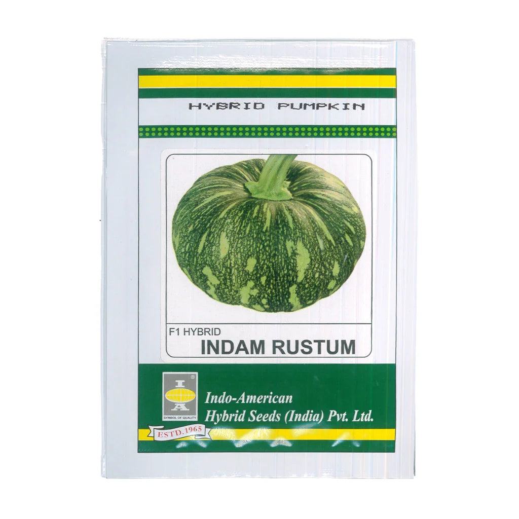 PUMPKIN- HYBRID SEED