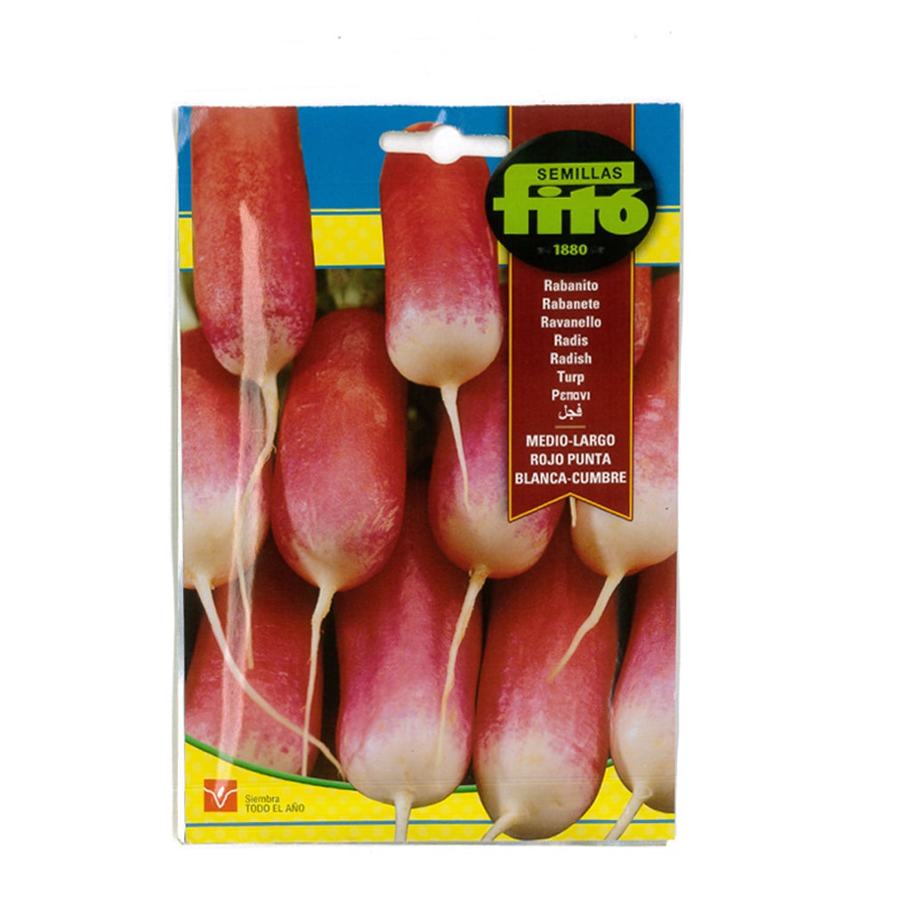 RADISH SEED- FITTO