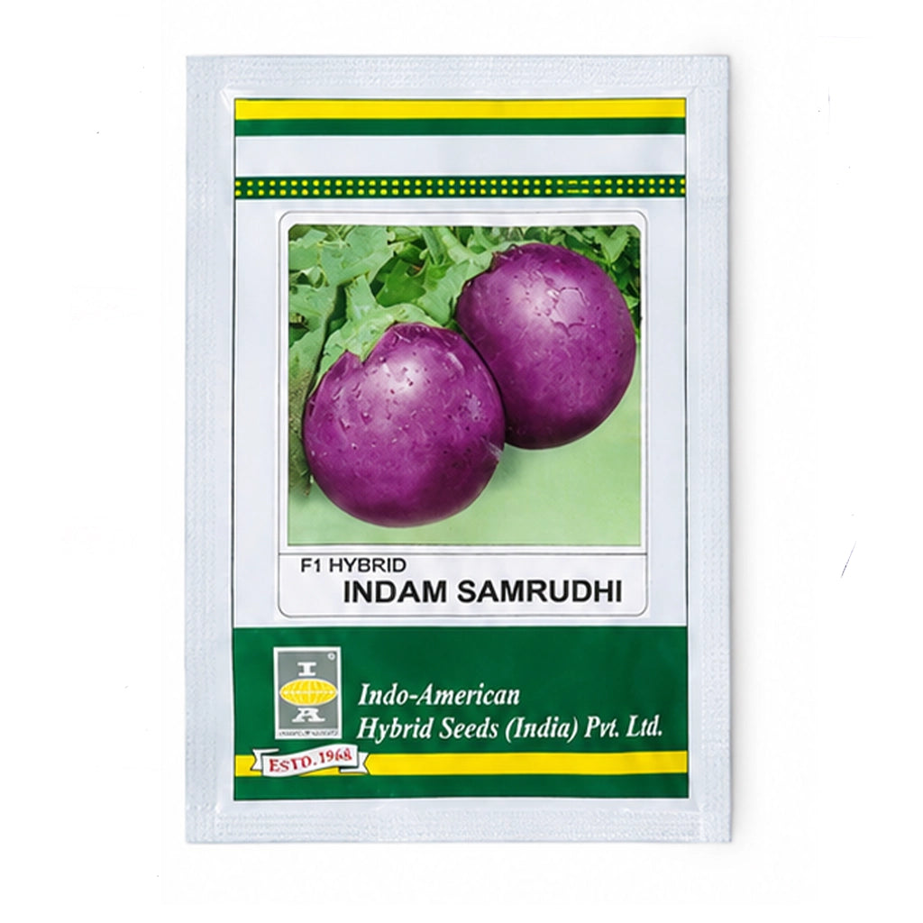 BRINJAL- HYBRID SEED