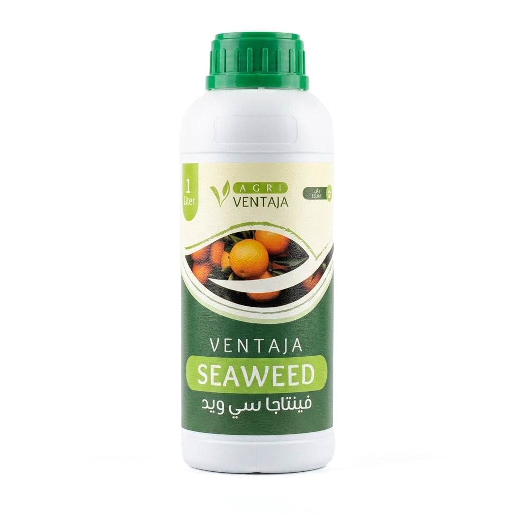 SEA WEED EXTRACT 1 L - VENTAJA