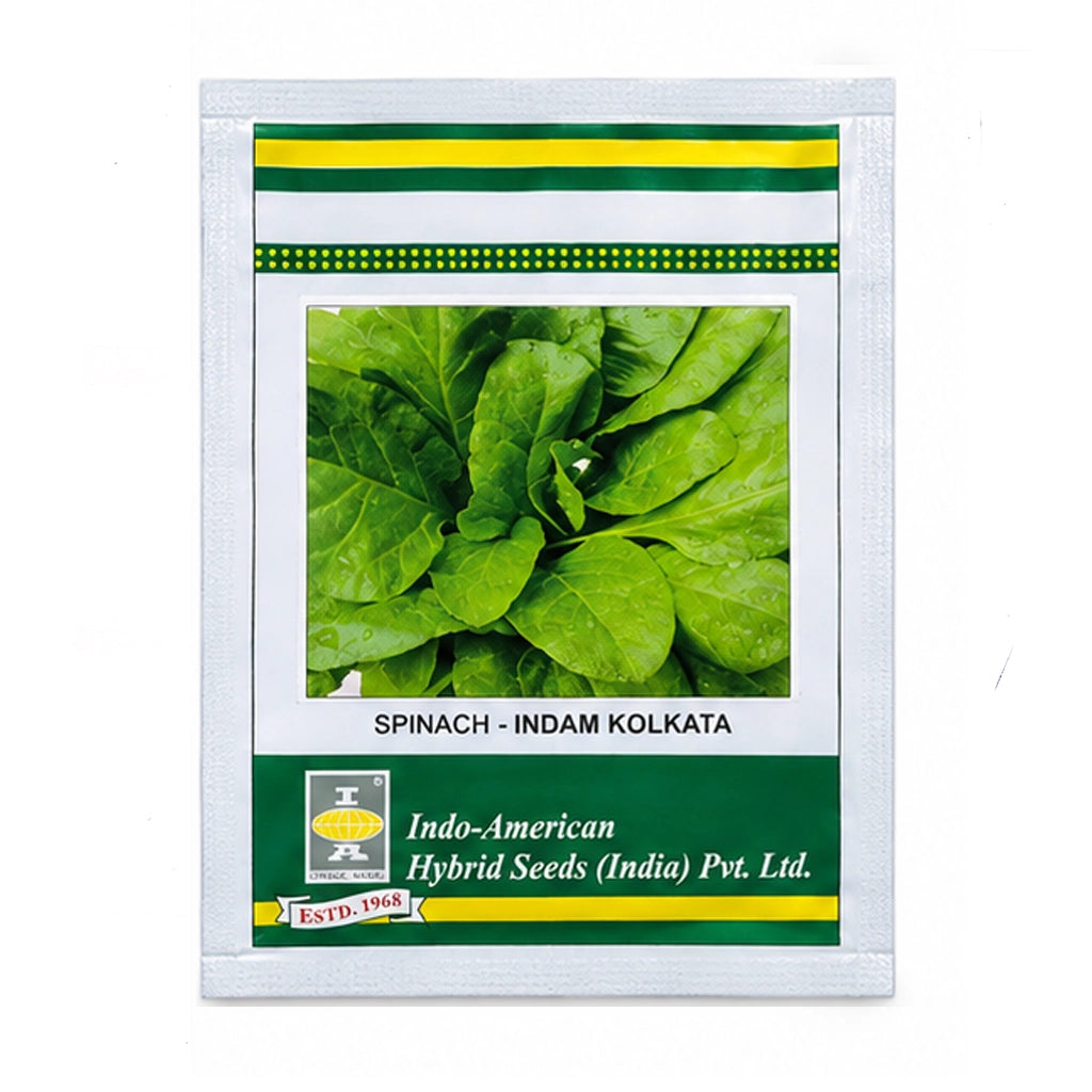 SPINACH- HYBRID SEED