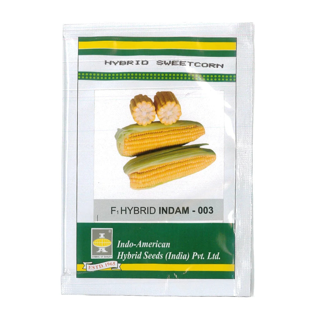 SWEET CORN- HYBRID SEED