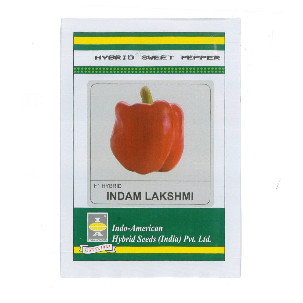 SWEET PEPPER- HYBRID SEED