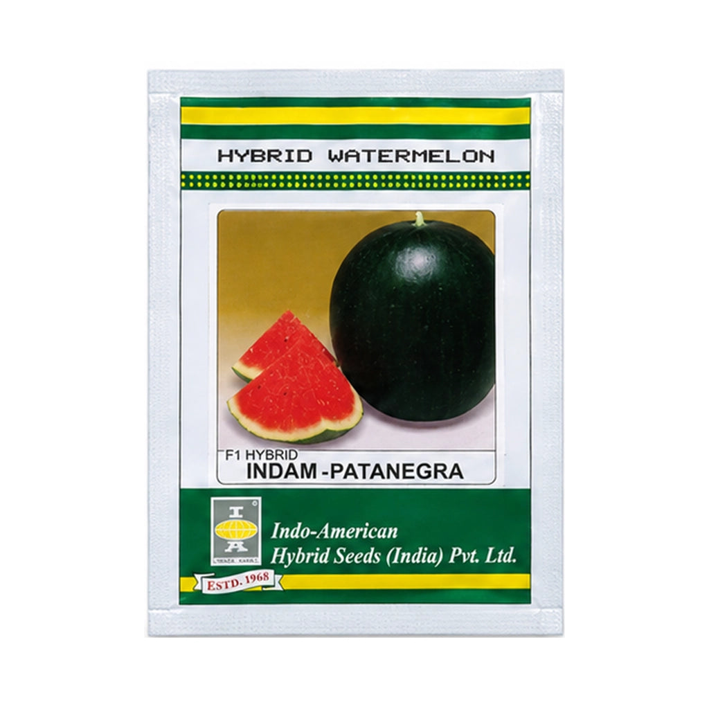 WATER MELON- HYBRID SEED
